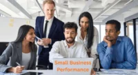 Small Business Performance