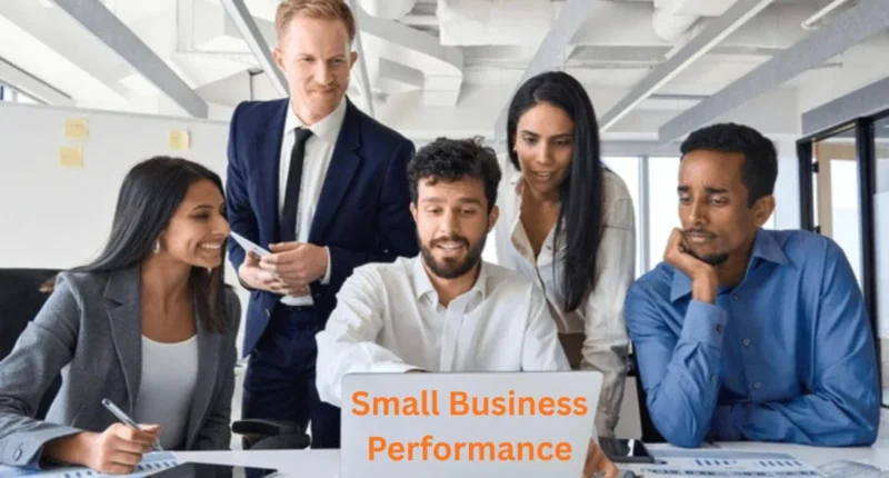 Small Business Performance